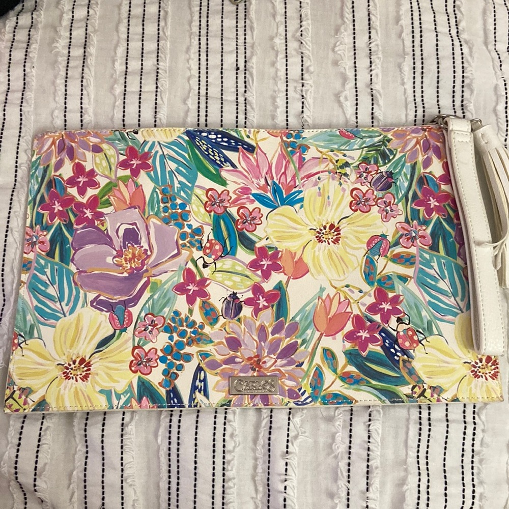 Small Hand bag. Never used .